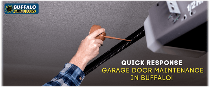 Garage Door Maintenance Buffalo